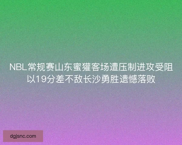 NBL常规赛山东蜜獾客场遭压制进攻受阻以19分差不敌长沙勇胜遗憾落败