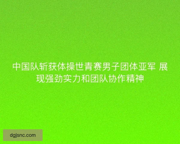 中国队斩获体操世青赛男子团体亚军 展现强劲实力和团队协作精神